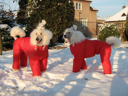 Christmas Santa Claus