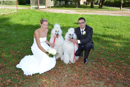 Wedding bridesmaids